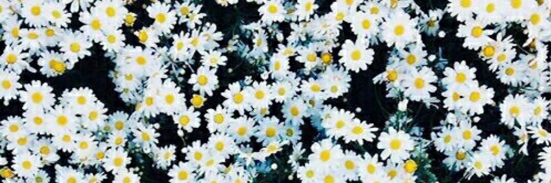 kellanwilson's profile banner image