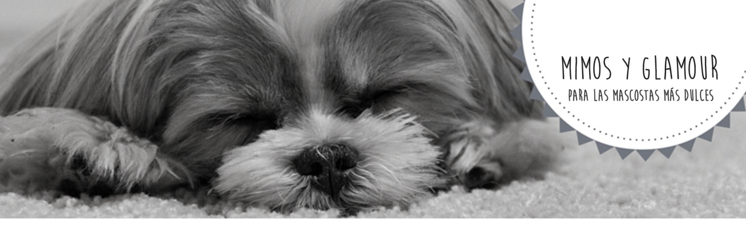 yourpetboutique's profile banner image
