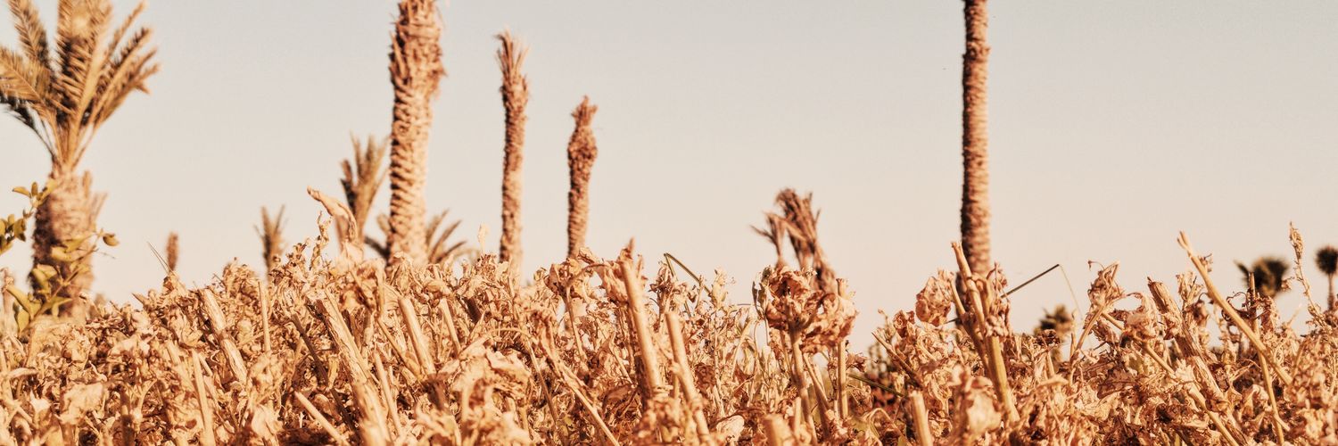 BraveNewBenz's profile banner image
