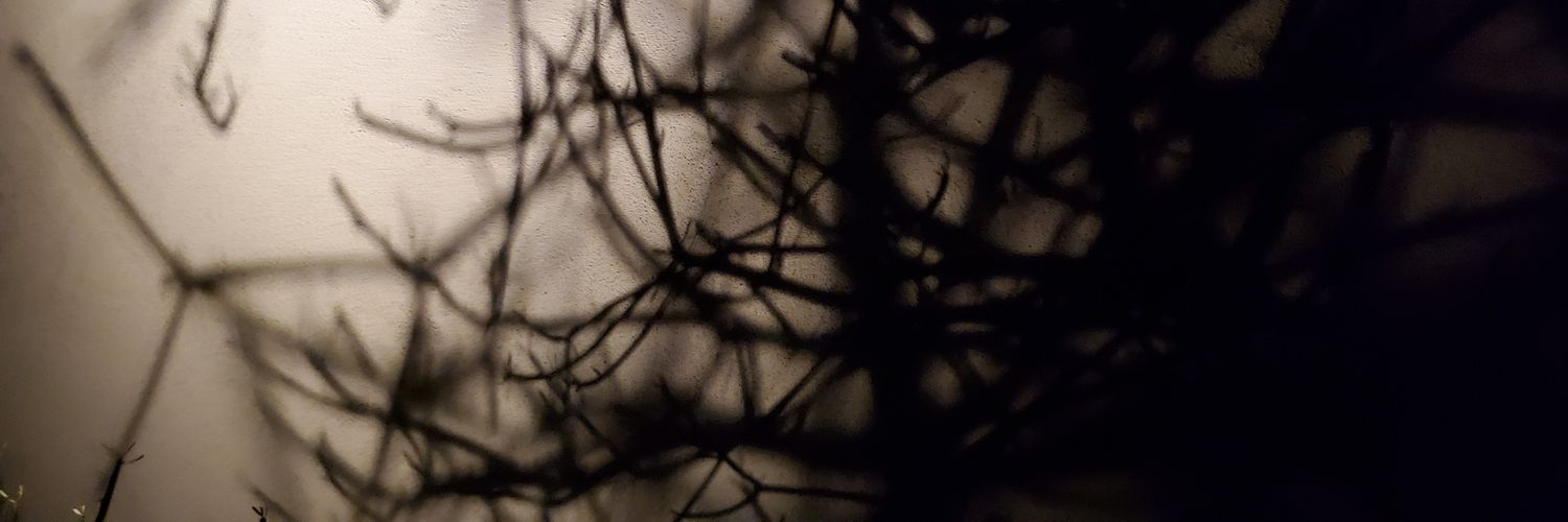 bpaq__'s profile banner image