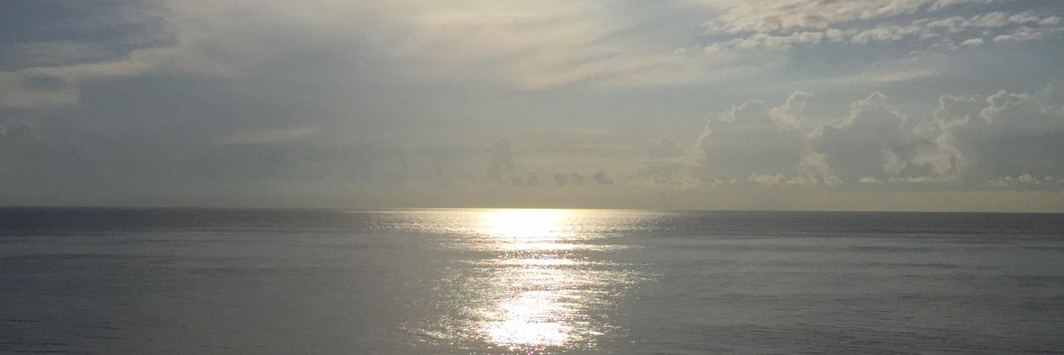 imurpal's profile banner image