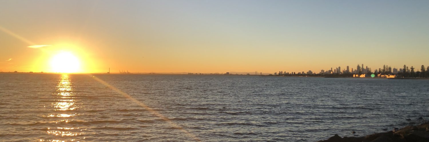 Aylie Davidson banner