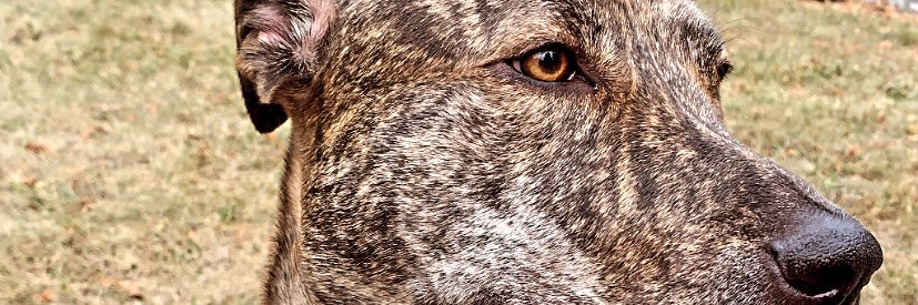 undftdbell's profile banner image