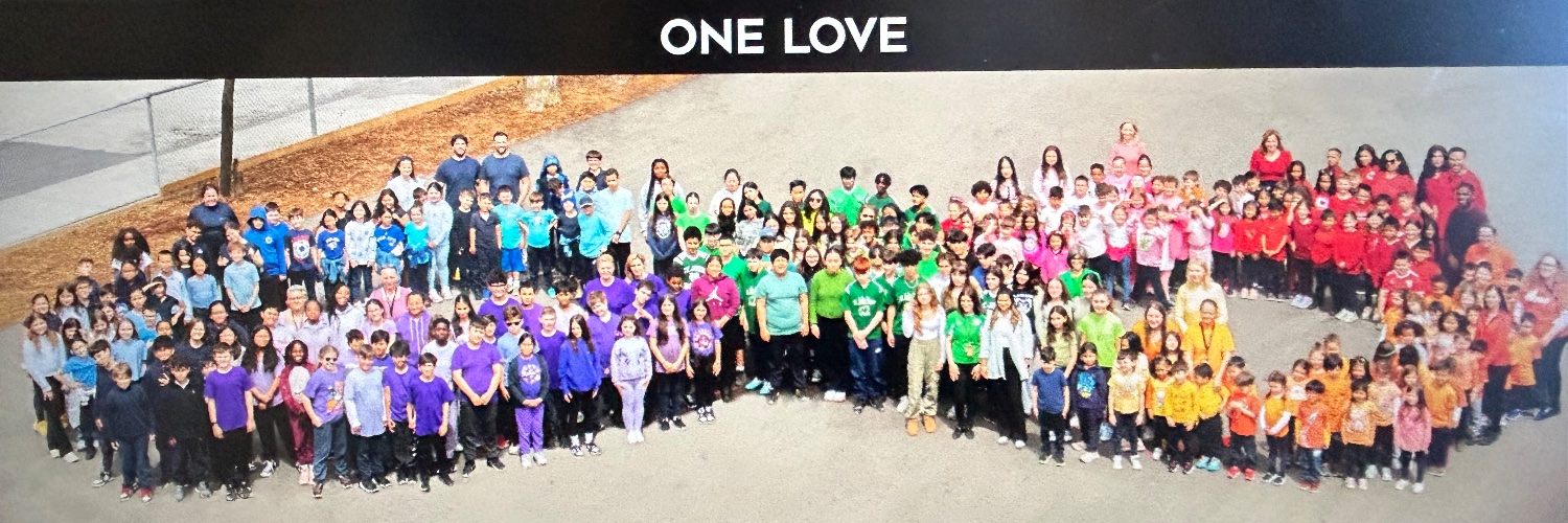 Marissa Ginocchi banner