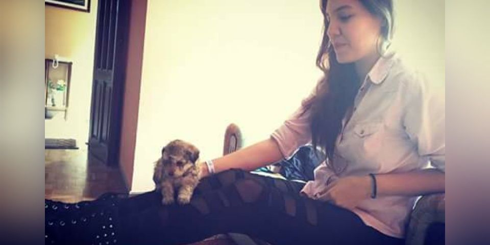 LauraToro6's profile banner image