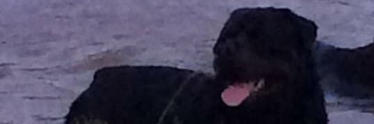 Peter_Helms's profile banner image