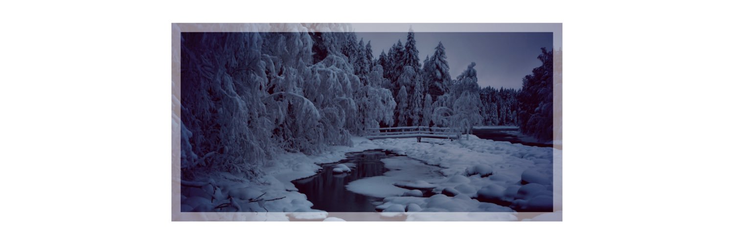 FragileFlakes's profile banner image