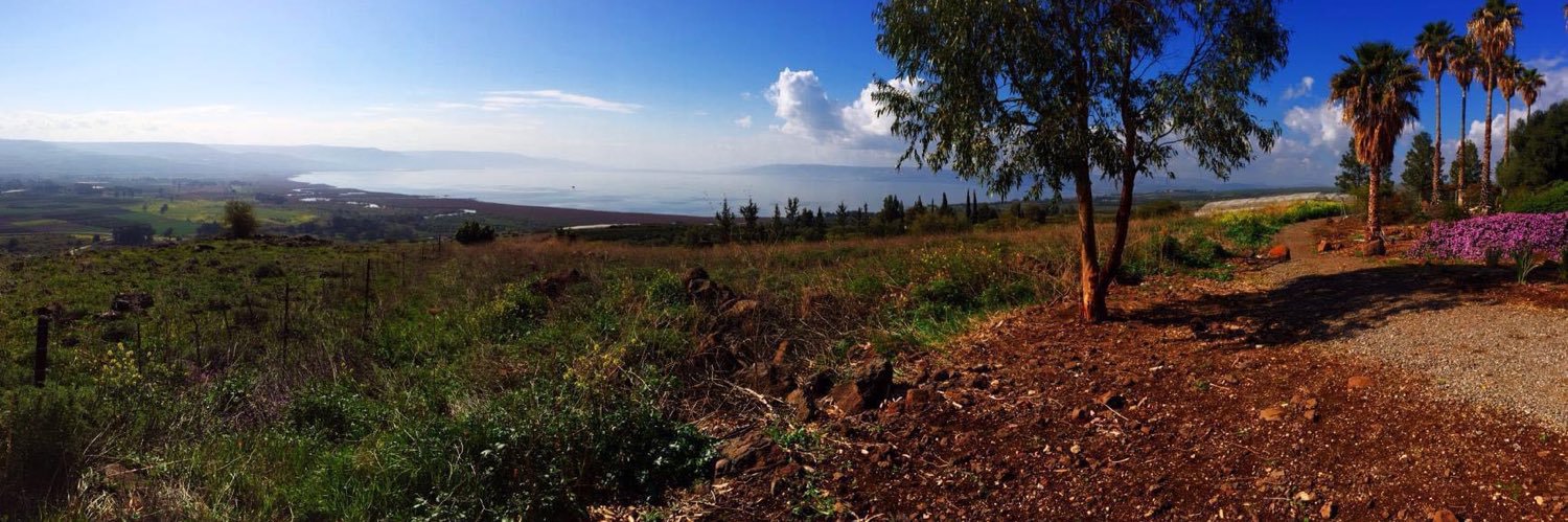 Jessica Pryce banner