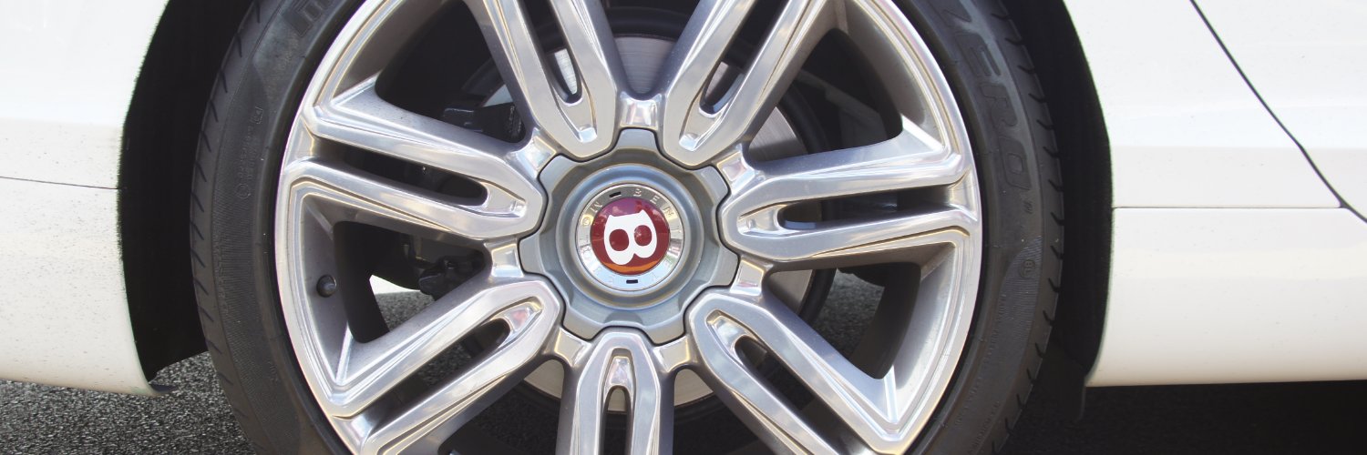 realestreason banner