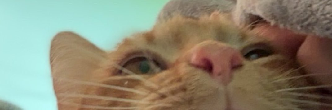 tOxoo0's profile banner image