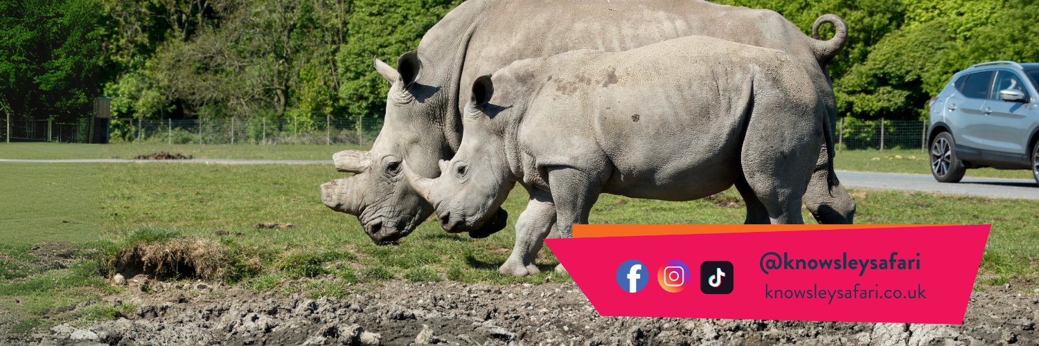KnowsleySafari's profile banner image