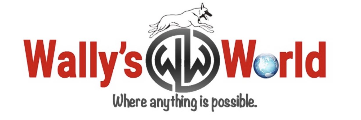 therealWalMaal's profile banner image