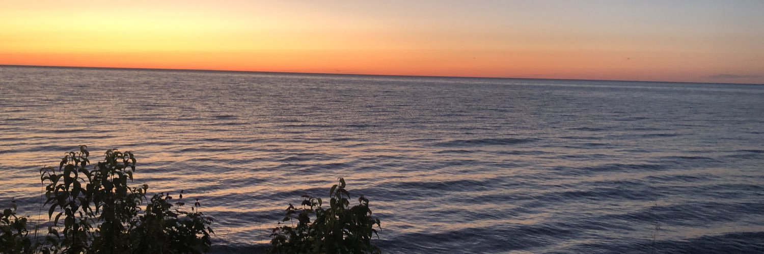 especks's profile banner image