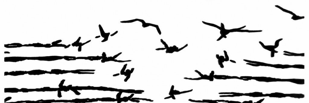 n_goepfert's profile banner image