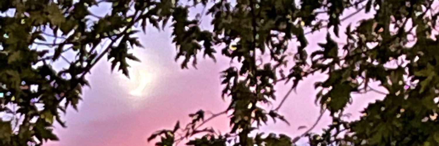 TDStLouisMo's profile banner image
