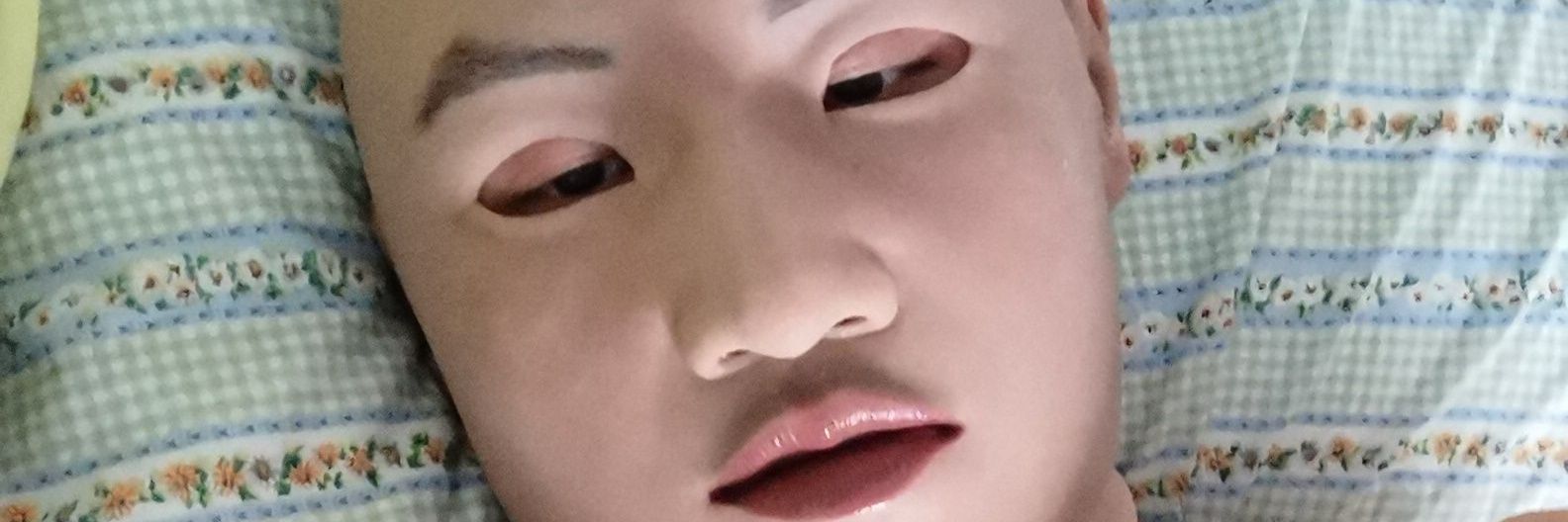 SgPup1981's profile banner image
