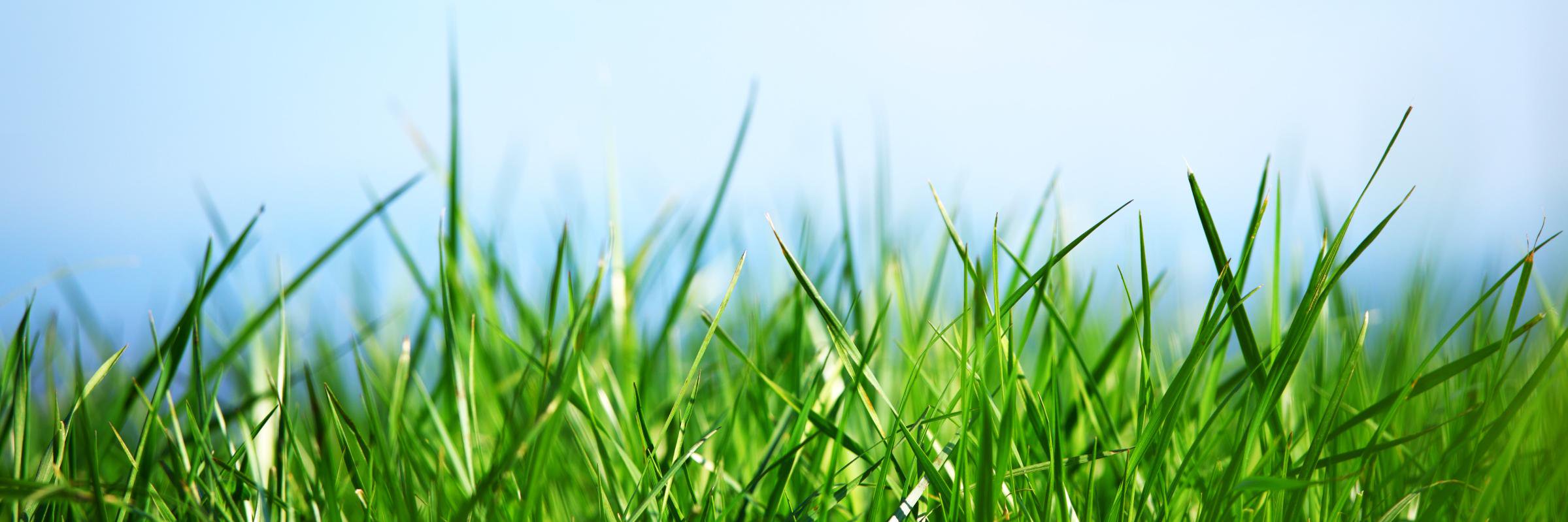 SH_EnviroPlan's profile banner image