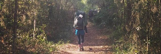 RachelCLoughran's profile banner image