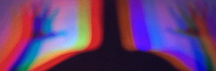 lylabarrera's profile banner image