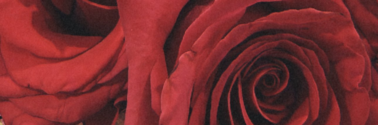 ndeeuhh's profile banner image