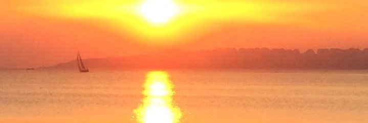 m_alt_n's profile banner image