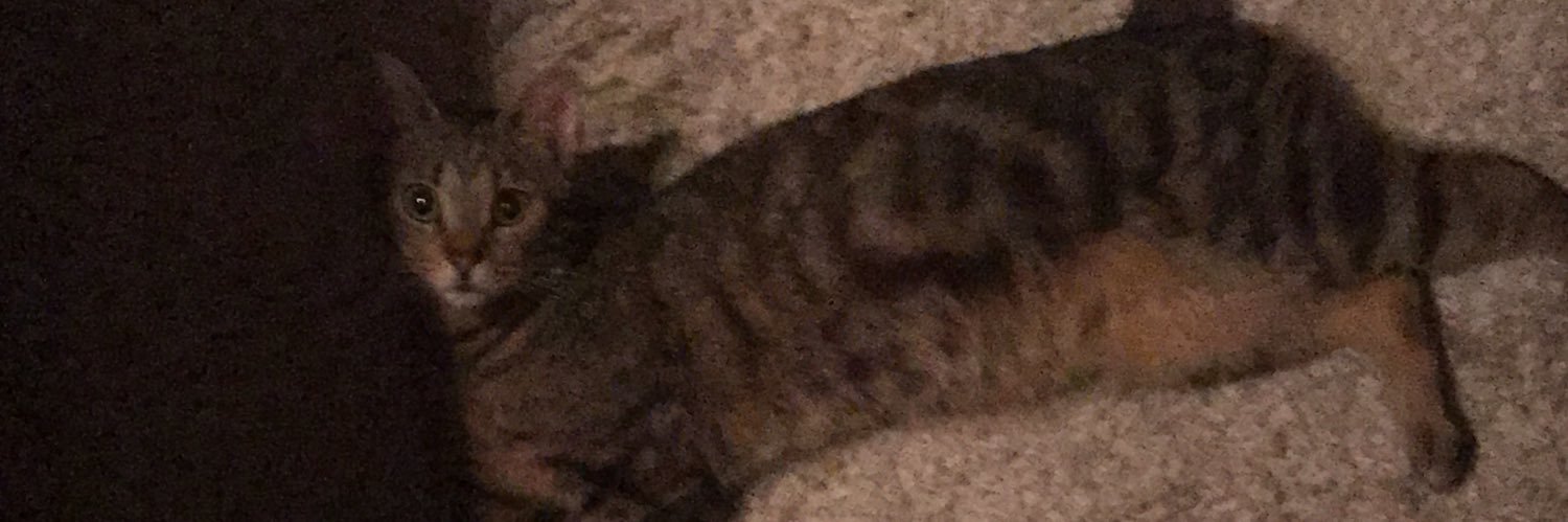 DeeSimi's profile banner image