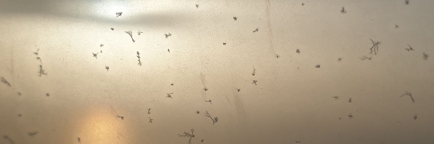evahb17's profile banner image