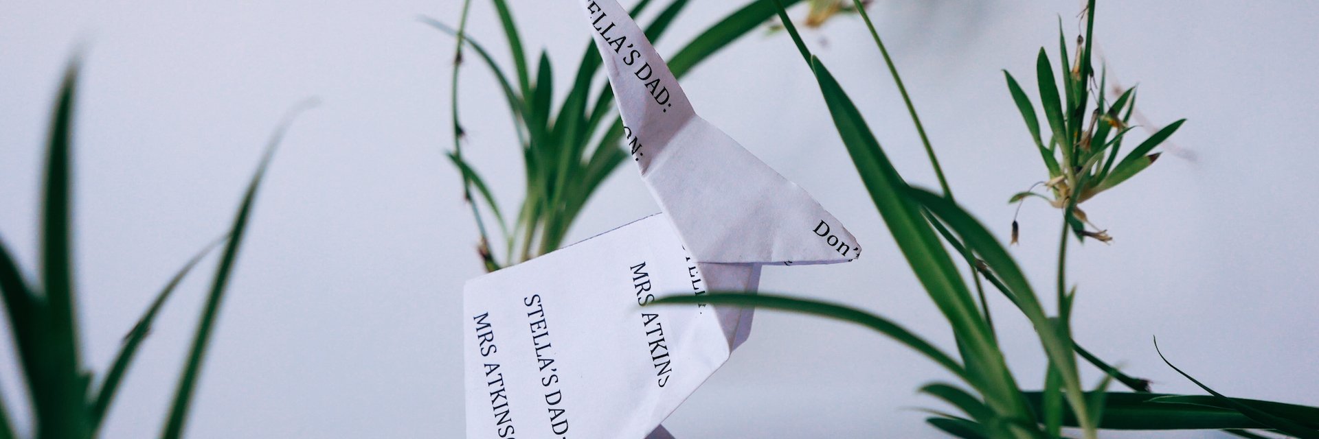 The Curious Parcel banner