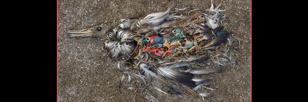 OccAware Profile Banner