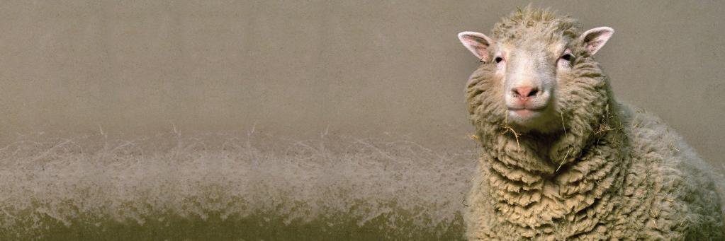 dollyat20's profile banner image