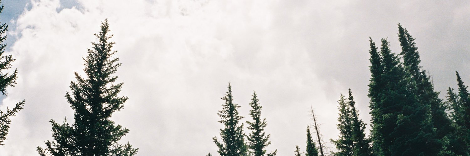 willlsam6's profile banner image