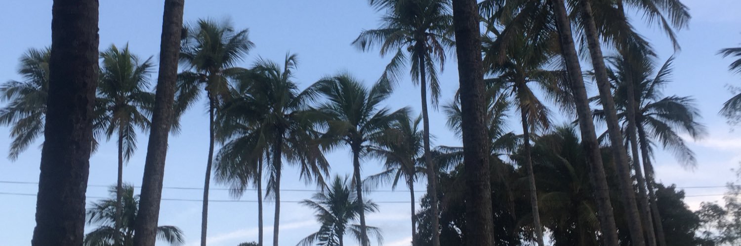 VNCarval's profile banner image