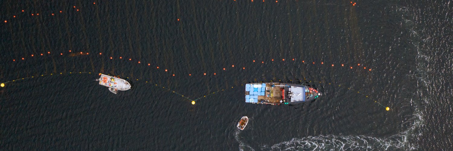 Dr. Tiff Stephens banner