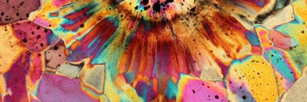 Sof banner