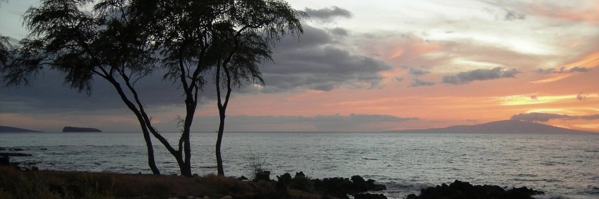 taleininger's profile banner image
