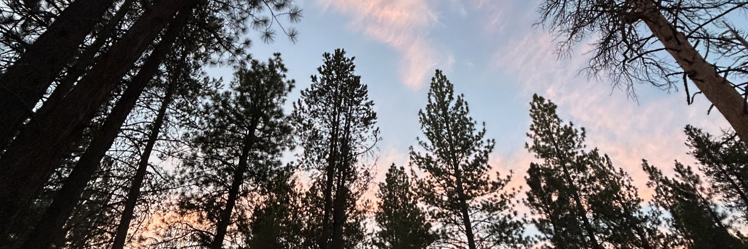 bridgemiixx's profile banner image