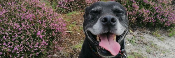 CatherineLeig14 Profile Banner