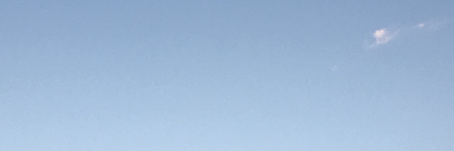 rbilra's profile banner image