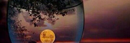 whyhay_01's profile banner image