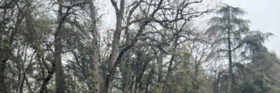 Versace_ORAMALU's profile banner image