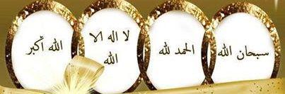 moha_elshall's profile banner image