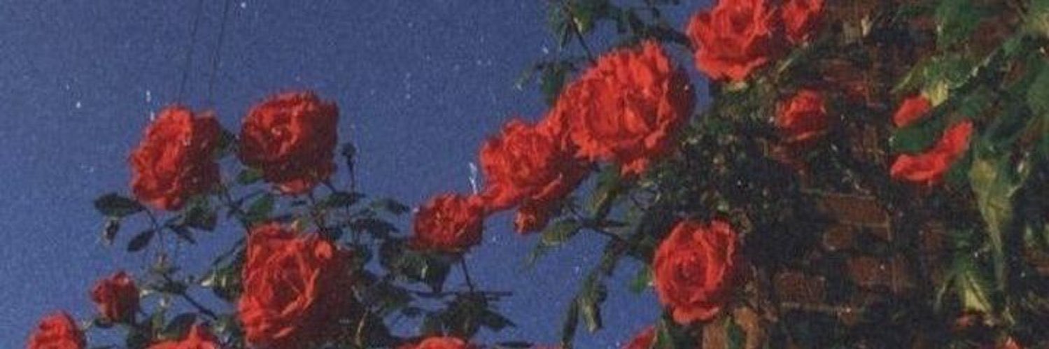 keepsearching_'s profile banner image
