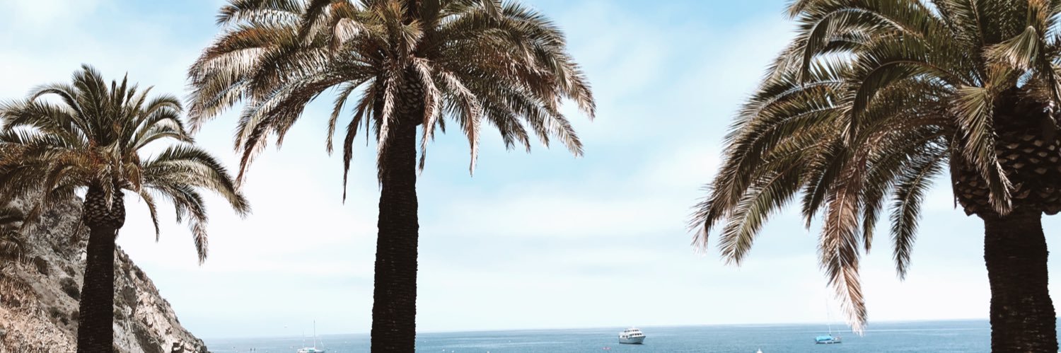 staceykloser's profile banner image