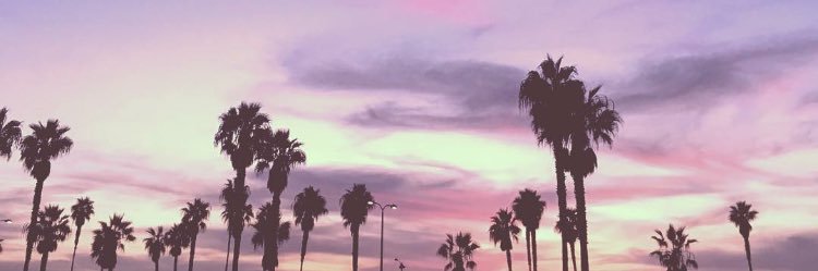 rissab13's profile banner image