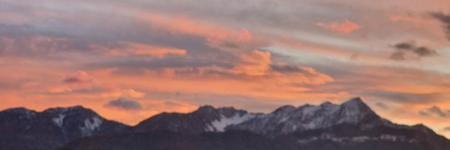 nesiiibeee's profile banner image