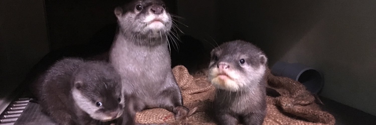 箱根園【公式】 banner