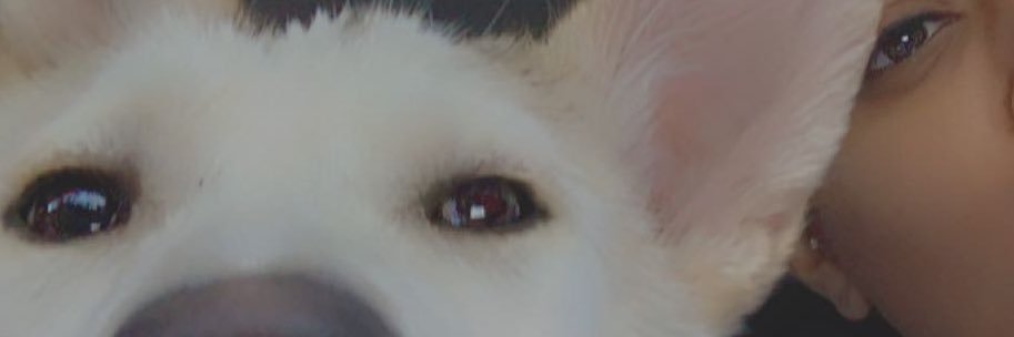 aabigail_b's profile banner image