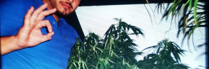 ManuelonZERO's profile banner image