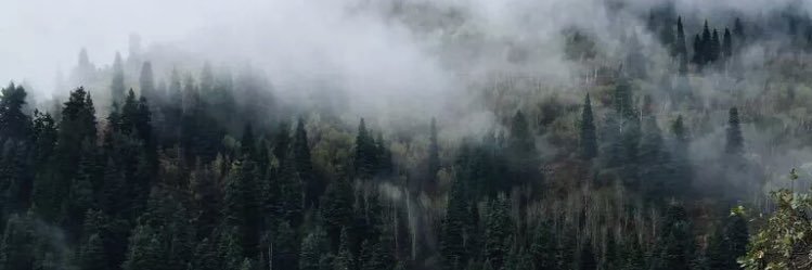 JacobsonMadiK97's profile banner image