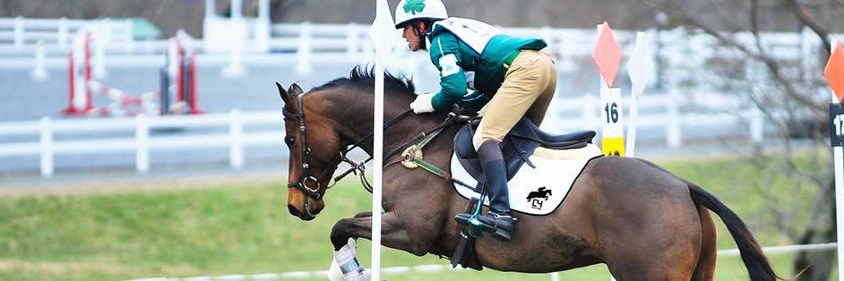 C4Equestrian's profile banner image